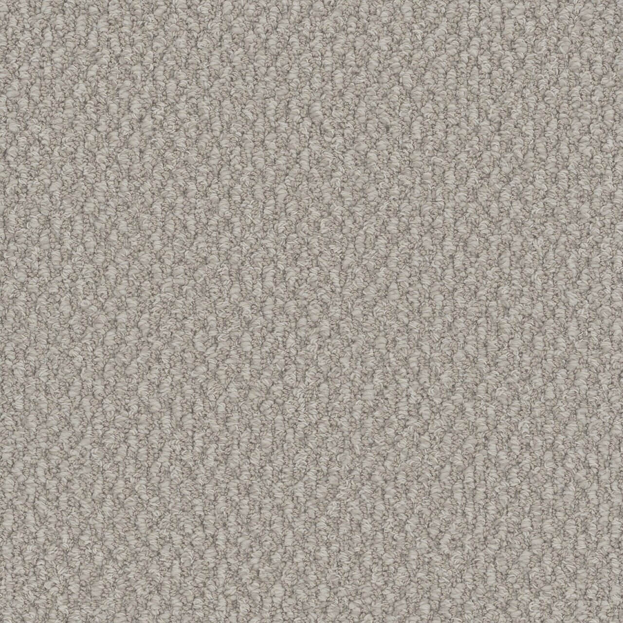 Premium Carpet Solutions installation example