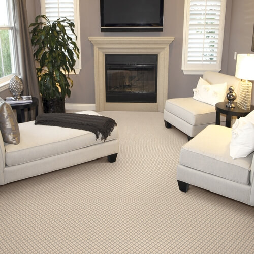 Premium Carpet Solutions